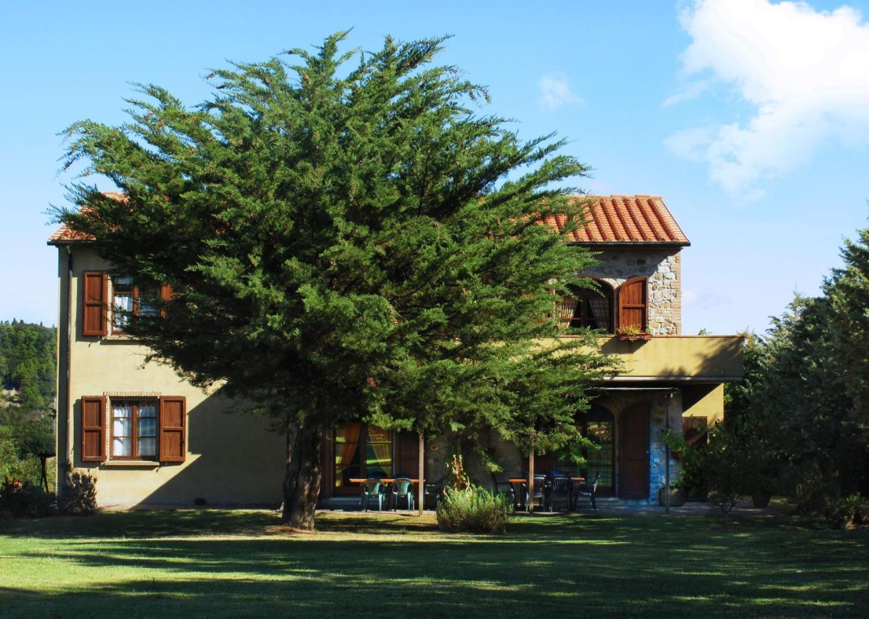 Appartamento Uva - Agriturismo Le Selvole โปมารันเช ภายนอก รูปภาพ